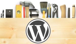 Wordpress for Small & Mid Business Website